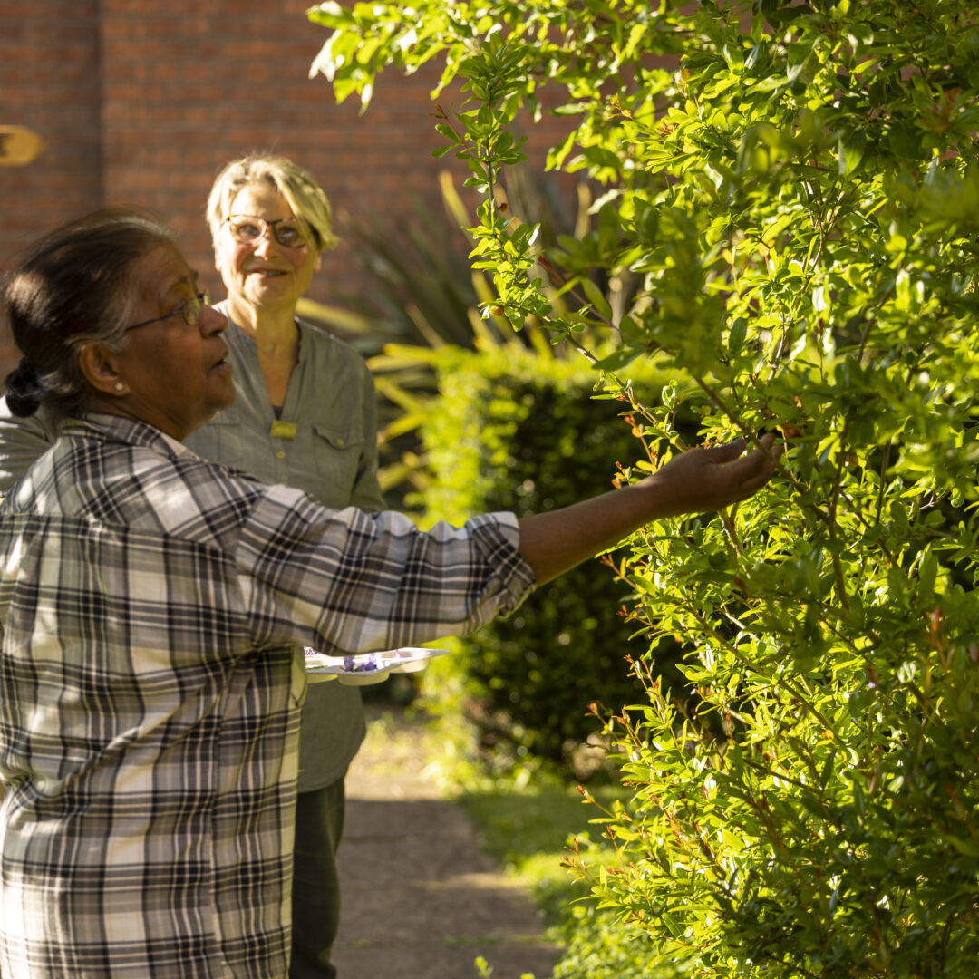 Gardening and Green Health at The MERL.