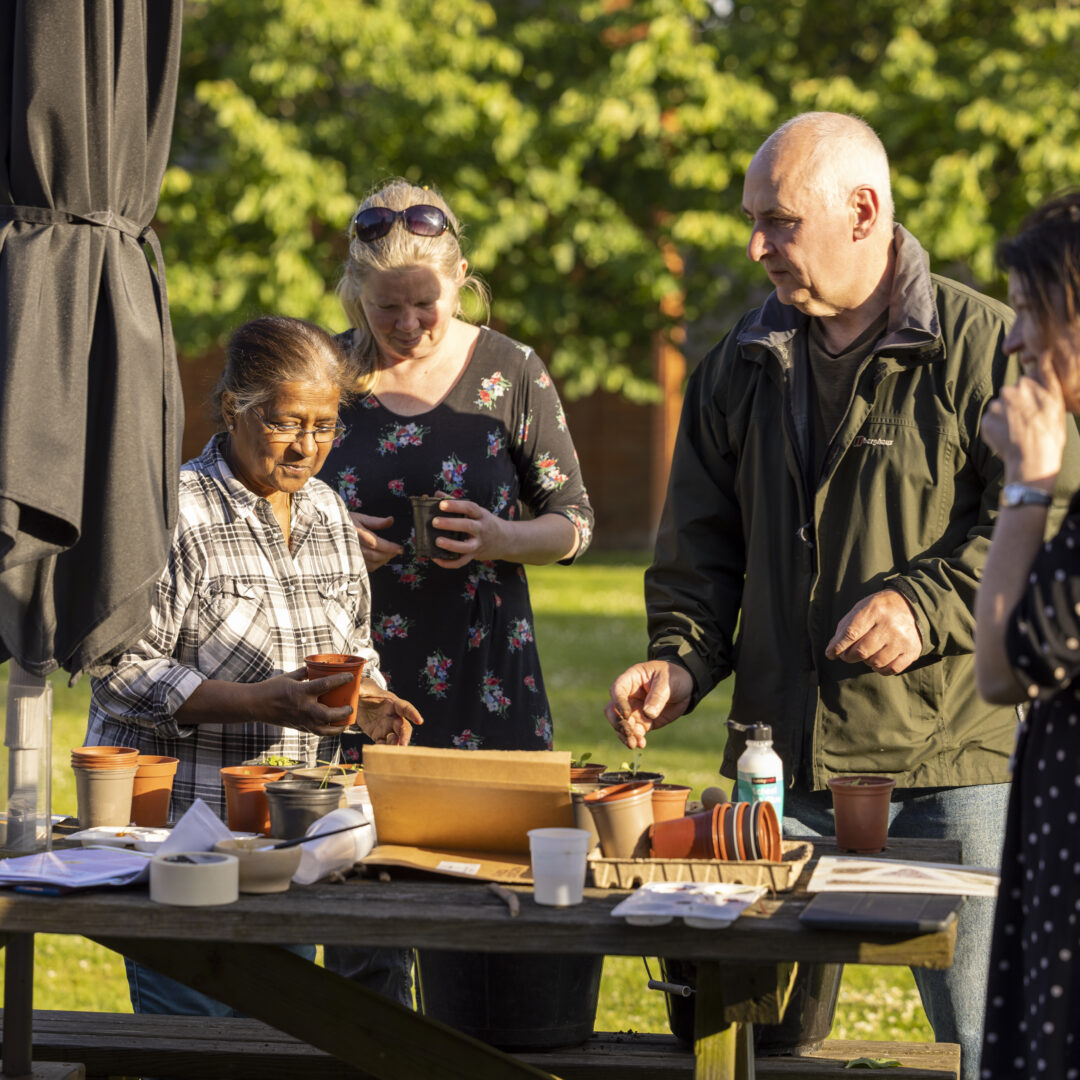Gardening and Green Health at The MERL.