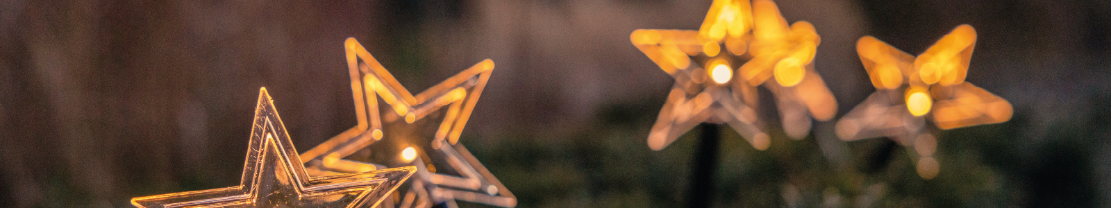 Magical lights in The MERL garden.