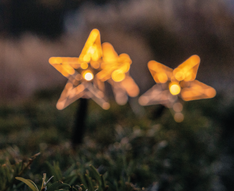 Magical lights in The MERL garden.