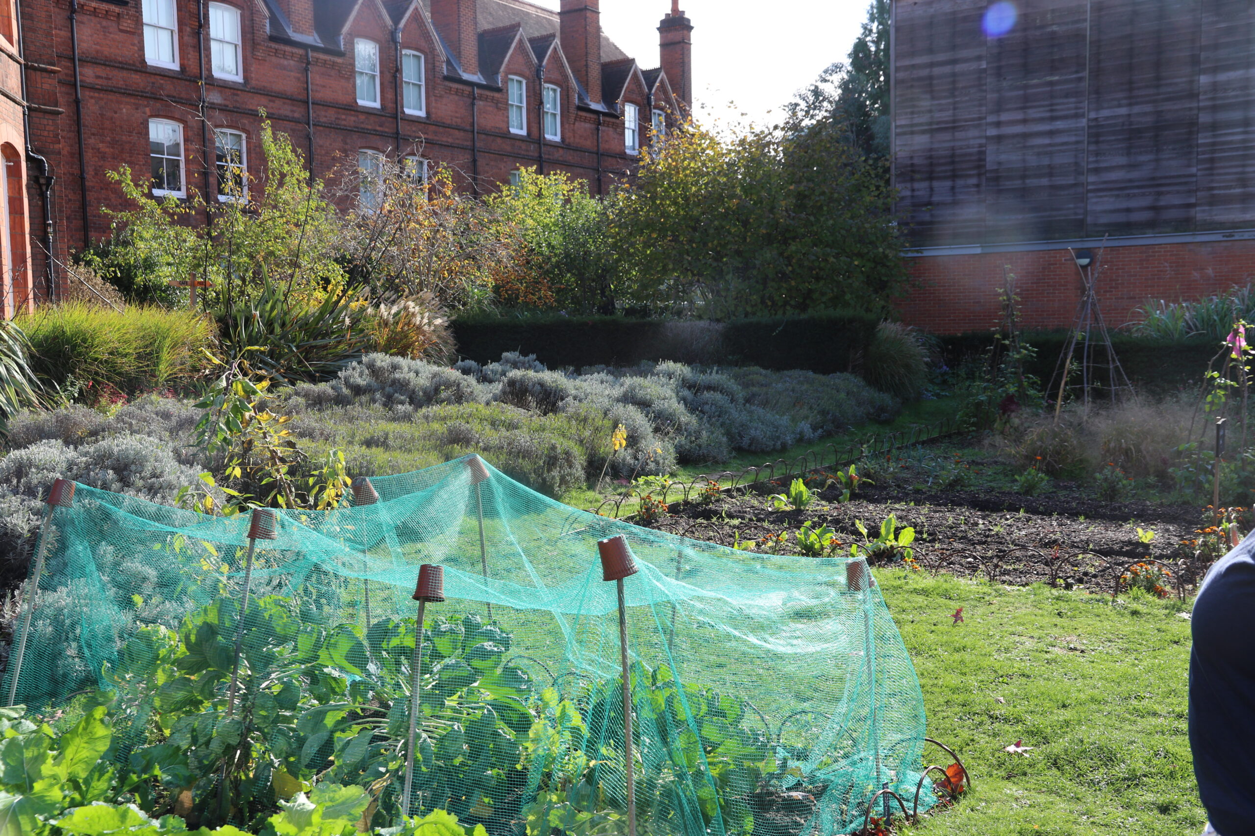 Autumn in the garden.