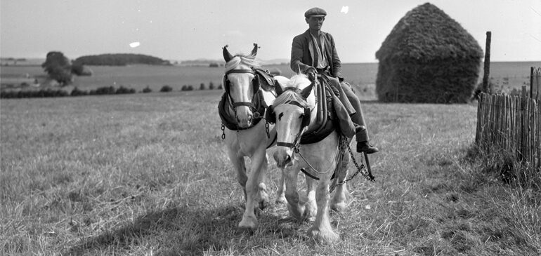 A black and white photo by John Tarlton showing a man riding two white heavy horses across a field with a hayrick in the background