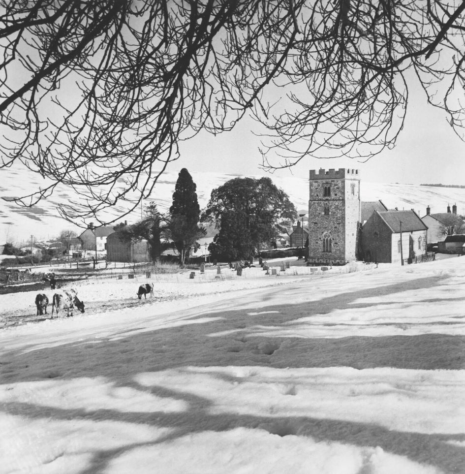 Snow at Winterbourne Houghton