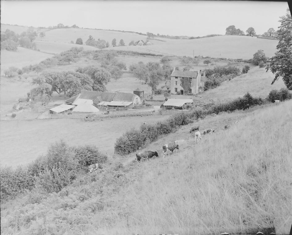 Coombe Farm, Bruton