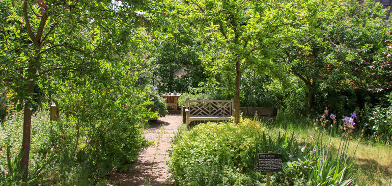 a path leading to a bench in immersed in greenery in the herb garden at The MERL