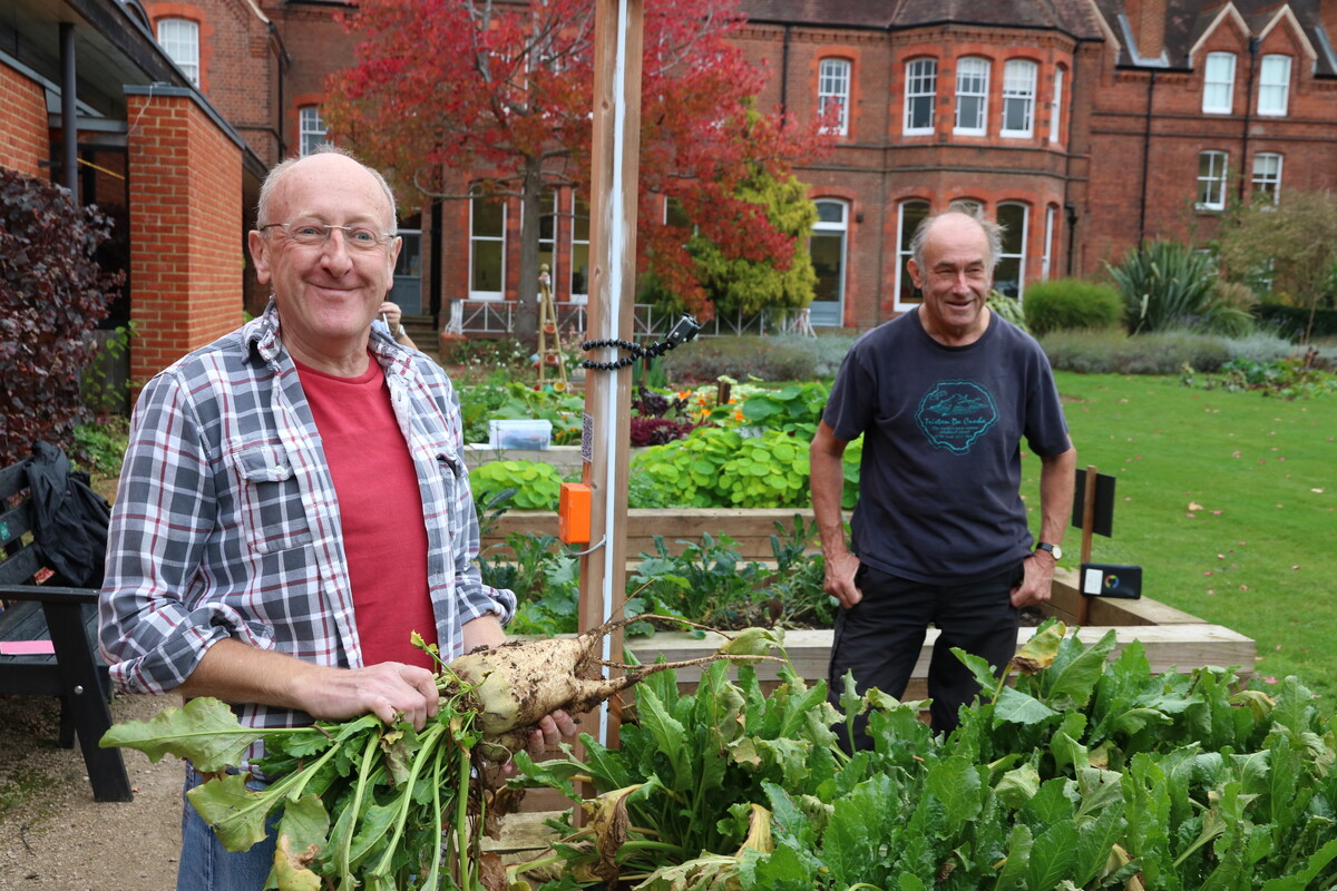 Volunteers with beets grown in the MERL garden