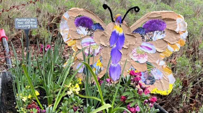 Collage butterfly in the MERL garden