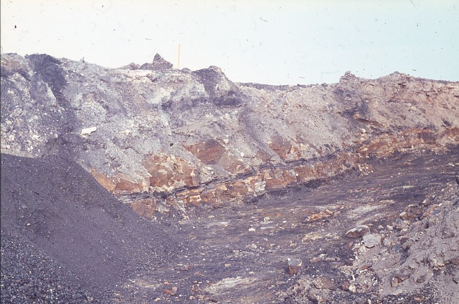 What is coal?