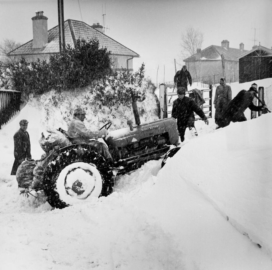 Fires in the snow