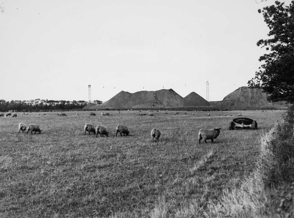 Building villages