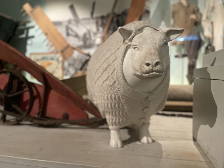 A white plastic sheep wearing a cream-coloured cardigan with dorset buttons, against a backdrop of old agricultural technologies