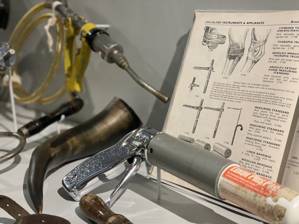 Animal health objects - dosing guns, drenching horns, and anatomical textbook imagery - on display in a case