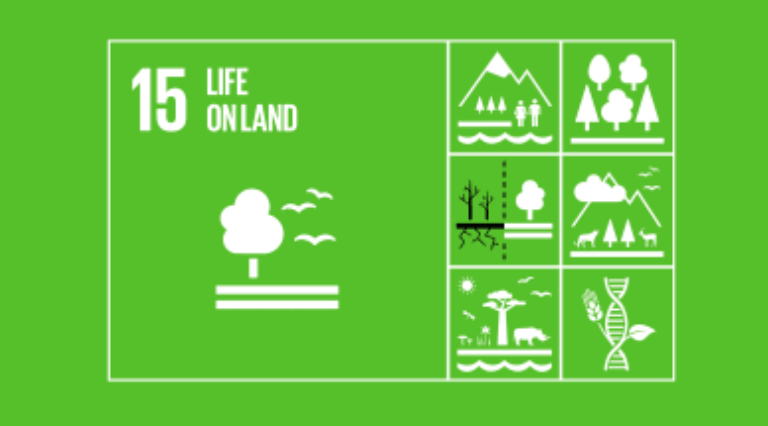 Life on Land logo