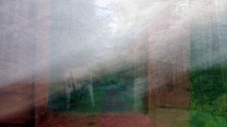 Hazy picture of a forest