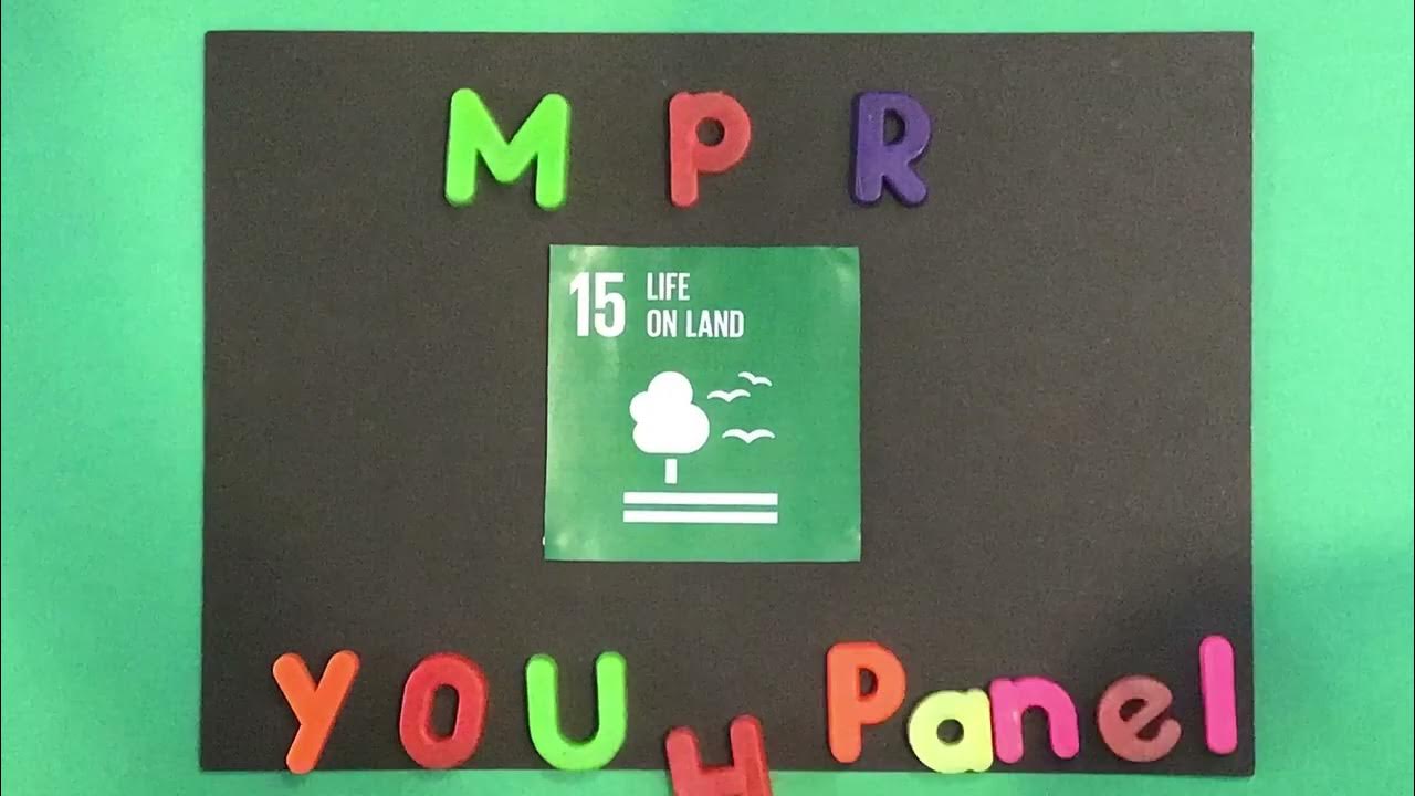 Introducing: Life on Land Stop Motion Trailers