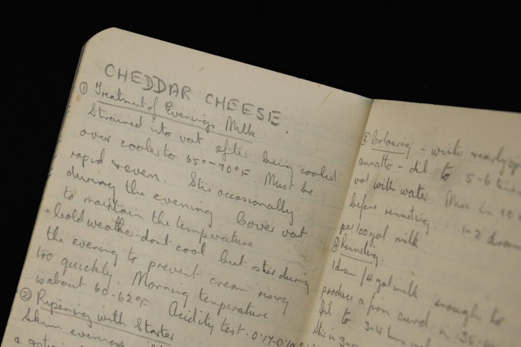 Notebook with pencil annotations concerning the use of evening in the production of Cheddar cheese