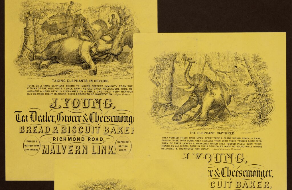 Tea advertisements, showing the ways in which elephants were exploited