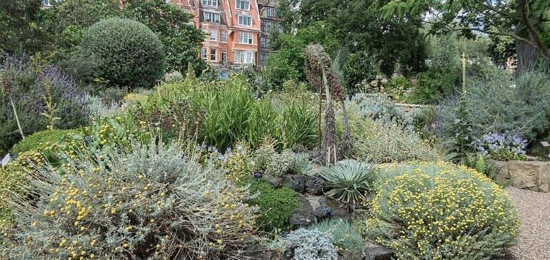 The Chelsea Physic Garden in London