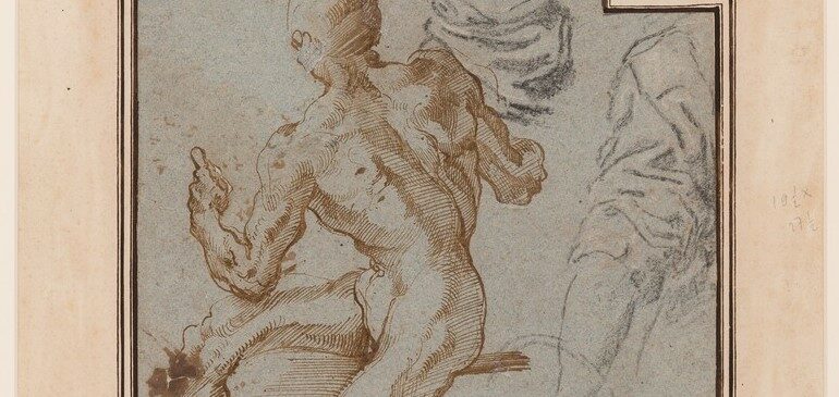 Drawing of a seated male nude and two arms by Jacopo Bertoia
