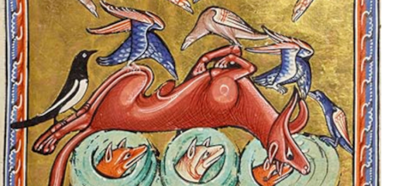 Animals feasting on a deer