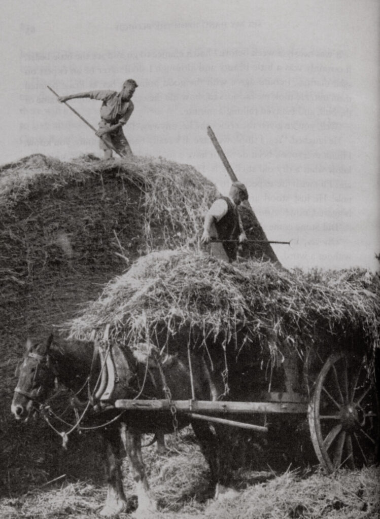 Two men on a stack of hay loading hay on to a horse and carriage.
