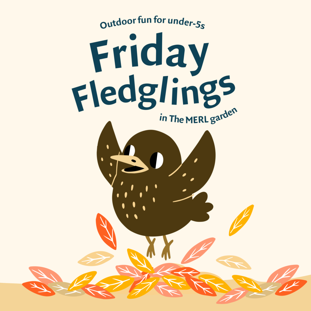 The brand identity for Friday Fledglings, showing a baby bird jumping on autumn leaves