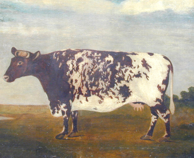 Consuming the fat cows - The MERL