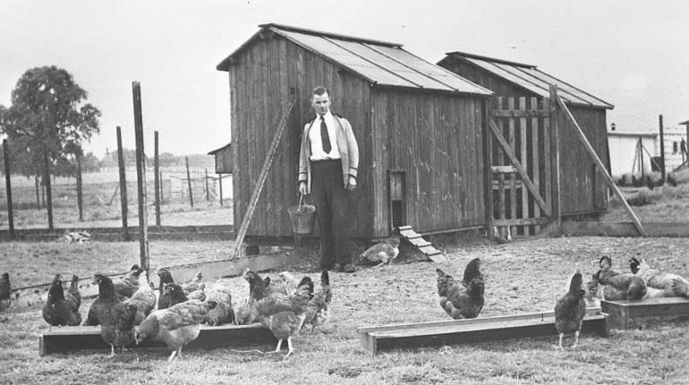 An image of a hen house.