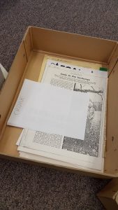 An image of cuttings in an archival box.