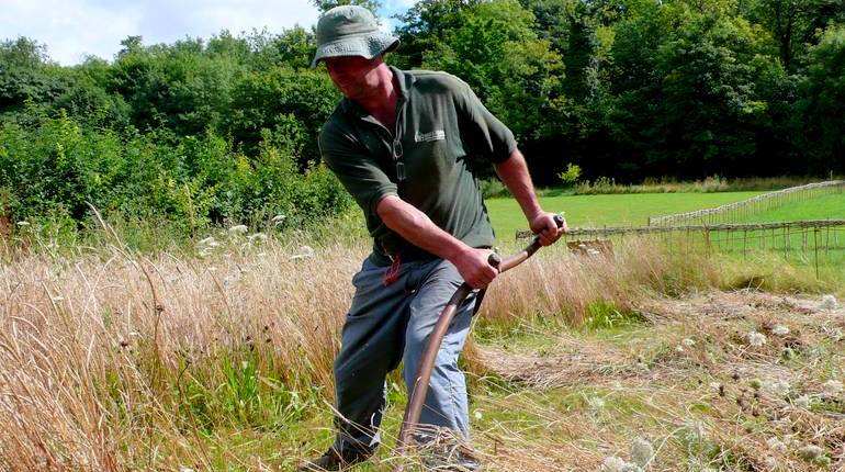 ENGLISH SCYTHES: BACK AT THE CUTTING EDGE? - The MERL