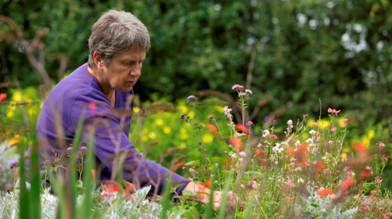 Working in the MERL garden