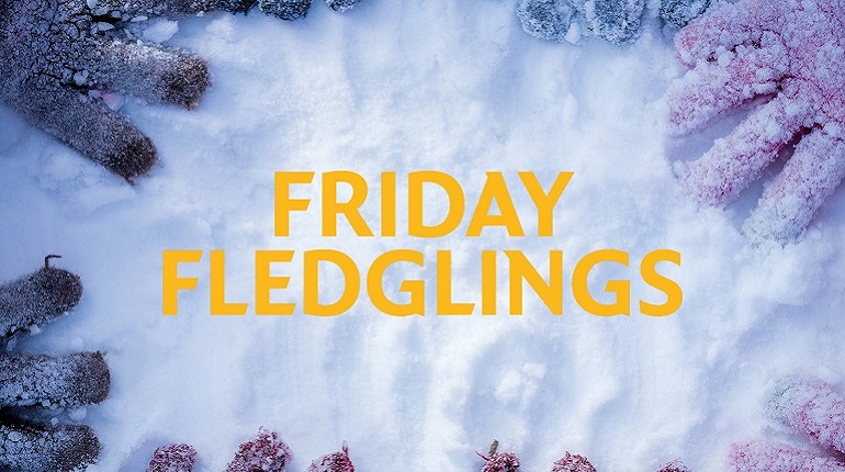 The words Friday Fledglings in yellow on a snowy ground with blue and red gloves around the edge.