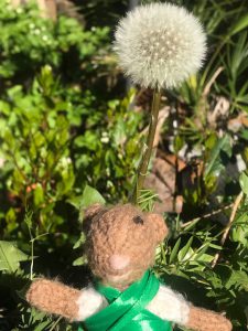 Little Mouse standing in front of a dandelion clock