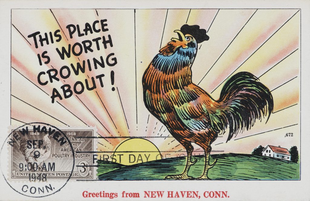 A postcard depicting a cockerel in front of a sunrise over green fields. Text next to the cockerel reads 'This place is worth crowing about!' and some text at the bottom reads 'Greetings from new Haven, Conn.'