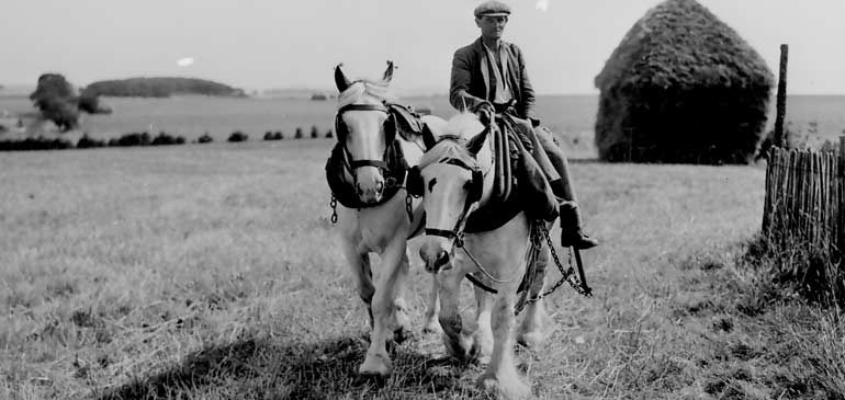 Black and white image of a man riding a grey working horse in a field with haystack in the background
