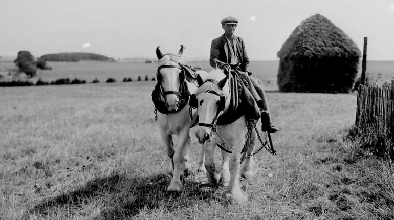 Black and white image of a man riding a grey working horse in a field with haystack in the background