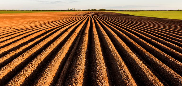 Furrows on a neatly ploughed field disappear into the distance
