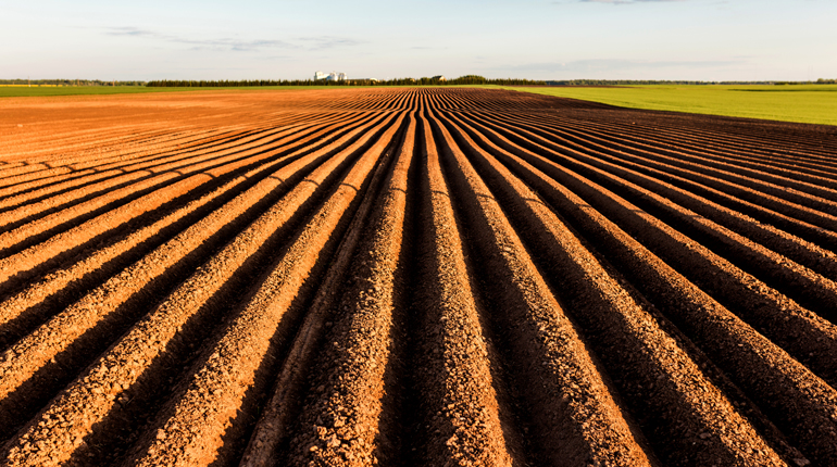 Furrows on a neatly ploughed field disappear into the distance
