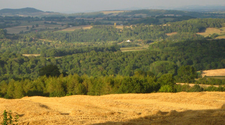 British agricultural landscape