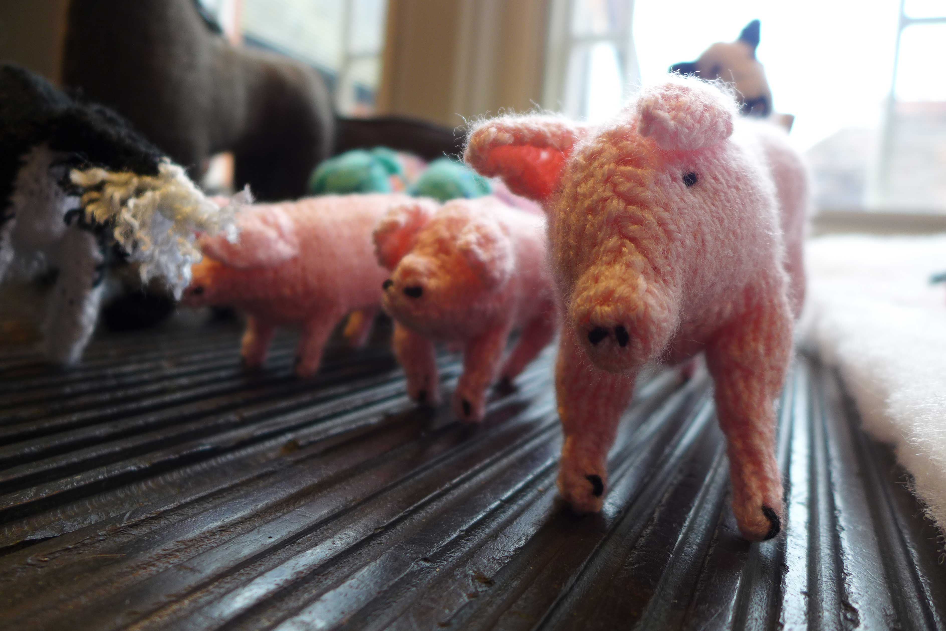 Pigs knitted by the Mewes Knitters