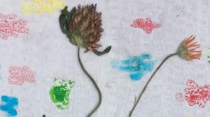 Dried flowers and prints by a young Jelly artist
