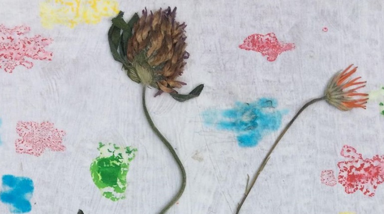 Dried flowers and prints by a young Jelly artist