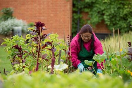 A volunteer working in one of the community growing spaces in the MERL garden