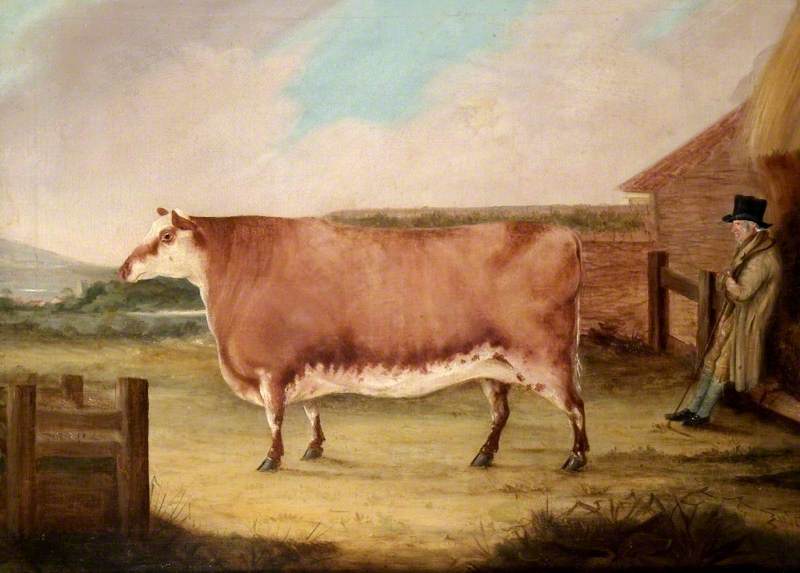 A painting of a brown cow facing left in a farmyard. A man on the right in a smock leans on a fence.