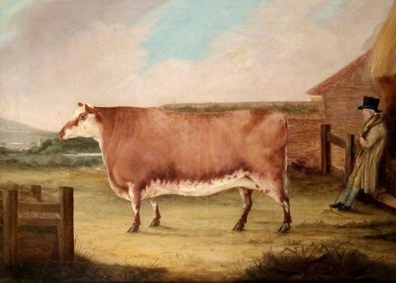 The history behind an absolute unit - The Museum of English Rural Life