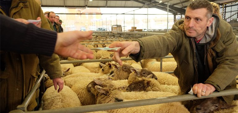 A white man in a beige jacket hands money over to a person out of shot. They are standing in an agricultural barn with sheep in pens. This image featured in the exhibition on Contemporary Farming.
