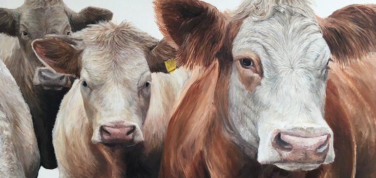 Painting of cows by artist, Katie Wilkins