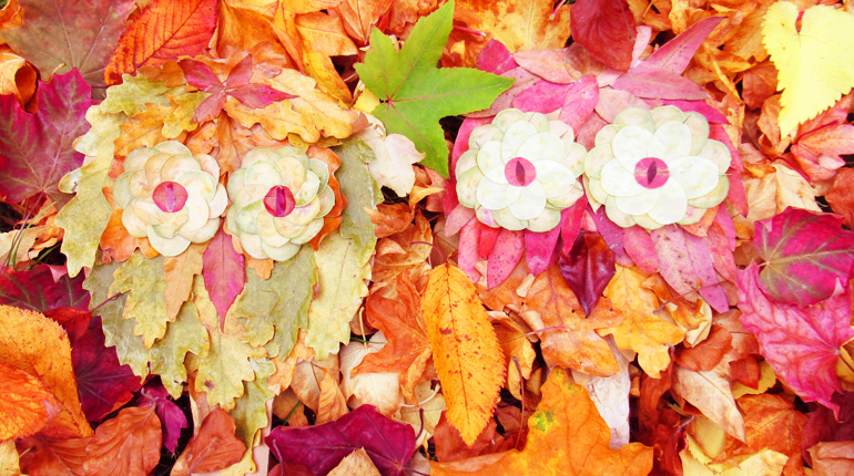 a picture of two owls made from autumn leaves for second sunday craft drop-in