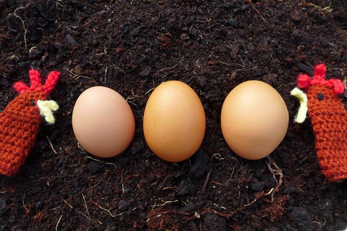 Three eggs laying on soil, with two knitted chickens on either side.