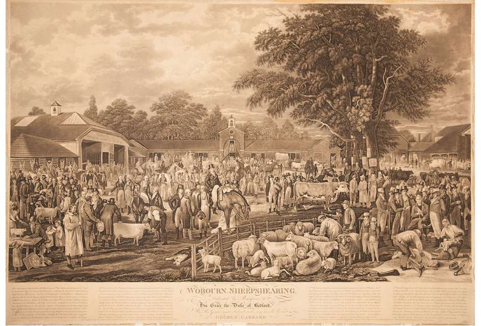 ‘WOBURN SHEEP SHEARING’ (1811) 